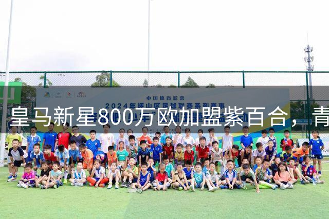 皇马新星800万欧加盟紫百合，青训人才变现引关注